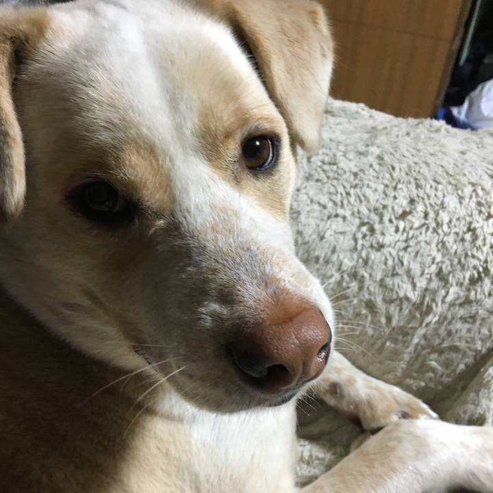 8c62d149 aa47 44d4 8b20 275fff691410