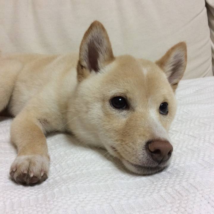 8c6312b3 5696 4ae0 af15 fe56179025c7