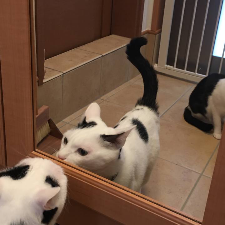 8c637f4f 0444 43b3 8b3b a2eeb037fa0c