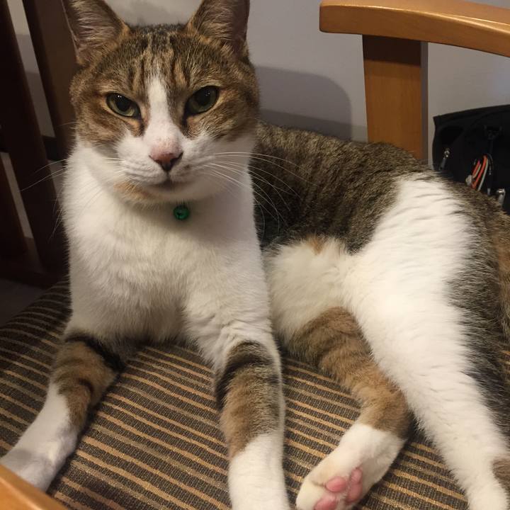 8c642e51 cec4 4870 80df d667545d766e