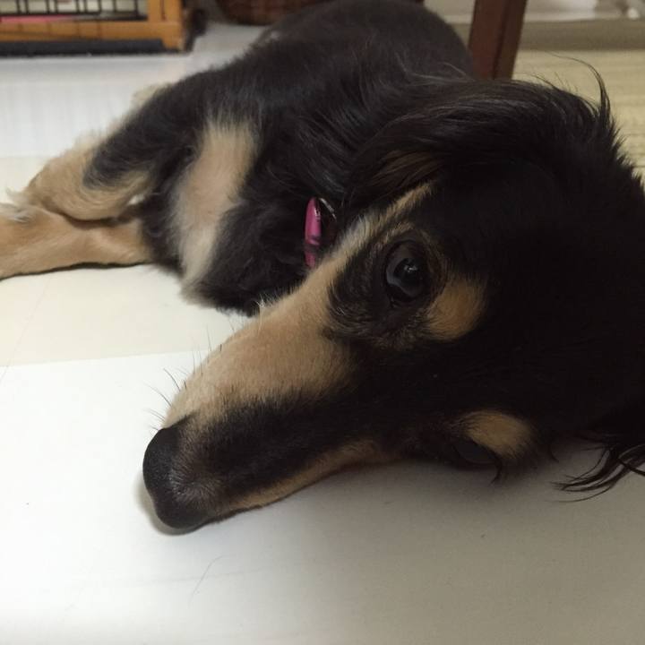 8c646b8a a3af 40ba b790 a2ecdaf4e3eb