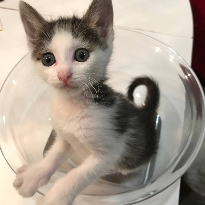 8c650278 690b 47d9 b4f1 335c58e76e97