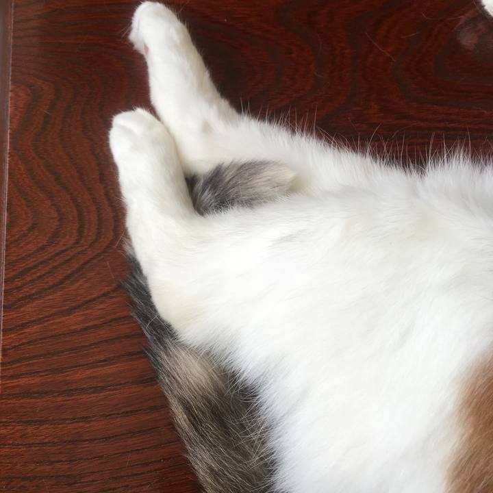 8c6693dd 308b 4cbe 9abe b772ae22107a