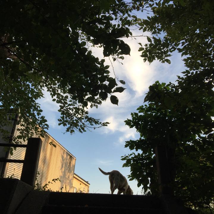 8c66a012 6363 4fb8 9ee0 93572d7679cd