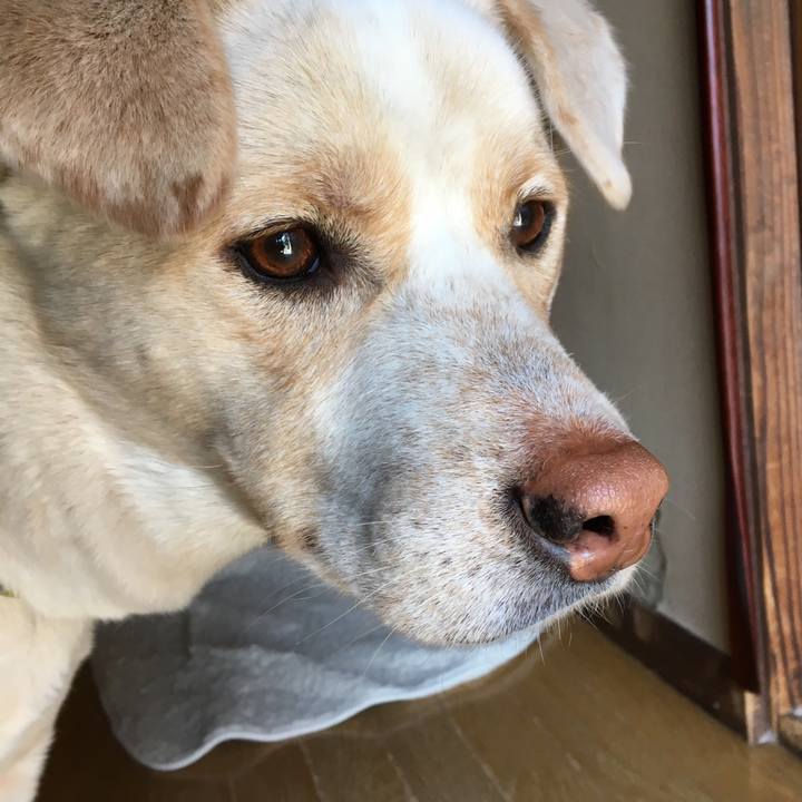 8c674df4 ec0e 47dd 952b 01e483301a57