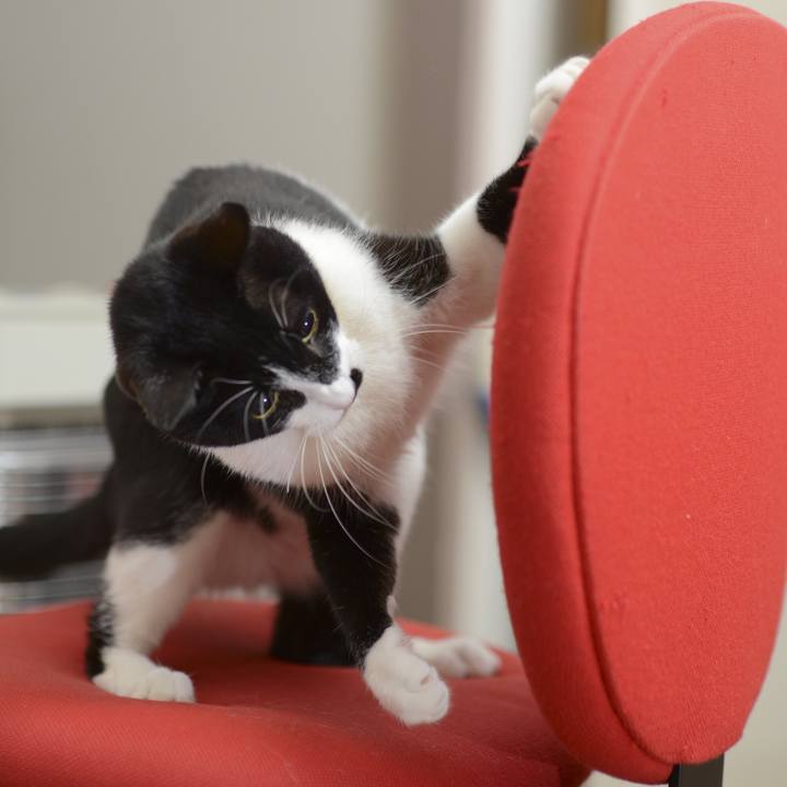 8c676917 6579 4087 a4de 4ba86f1aa86d