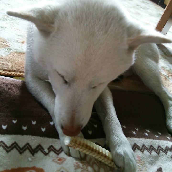 8c676dc7 2990 46c8 a511 4f95c9022ba7