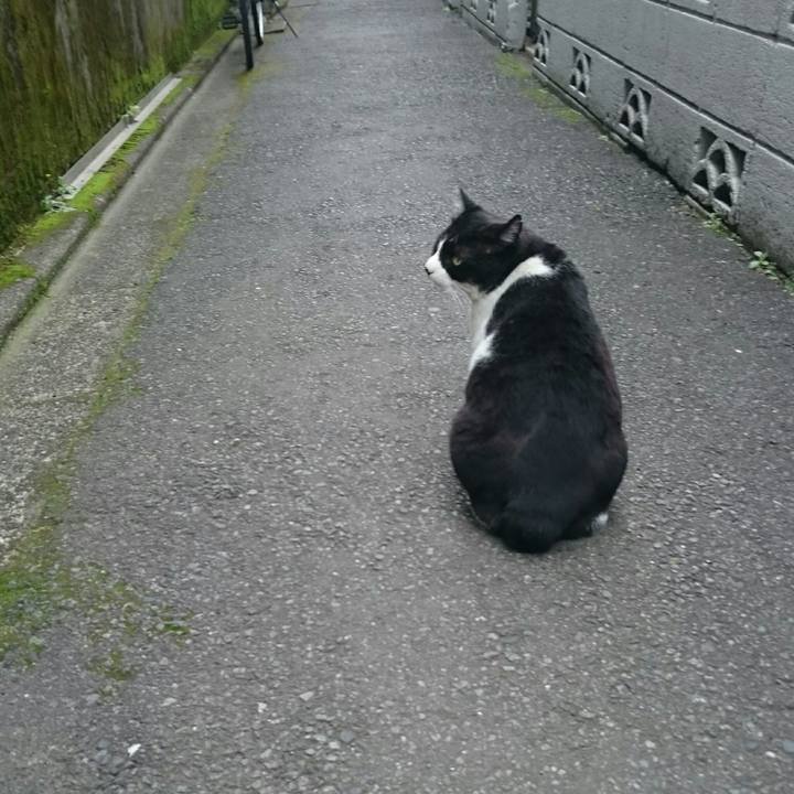 8c6839e1 fe4d 46ec 91f3 ac3cb8d74dcf