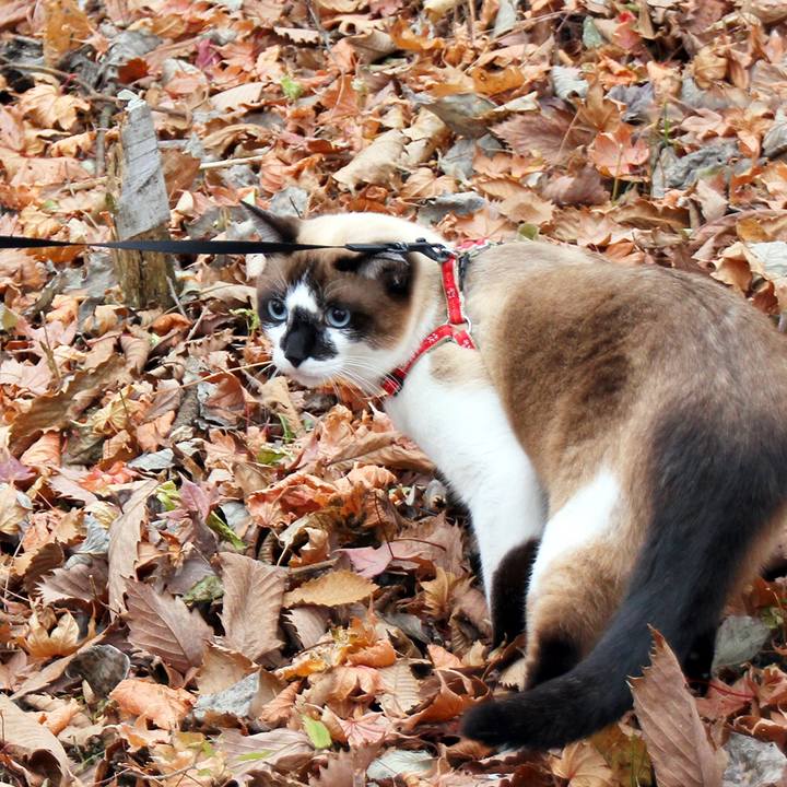 8c686111 63ed 47d6 92ee 4e5160c1206b