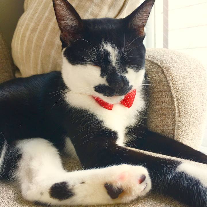 8c688c4f f917 4635 9931 8d55cbeea236