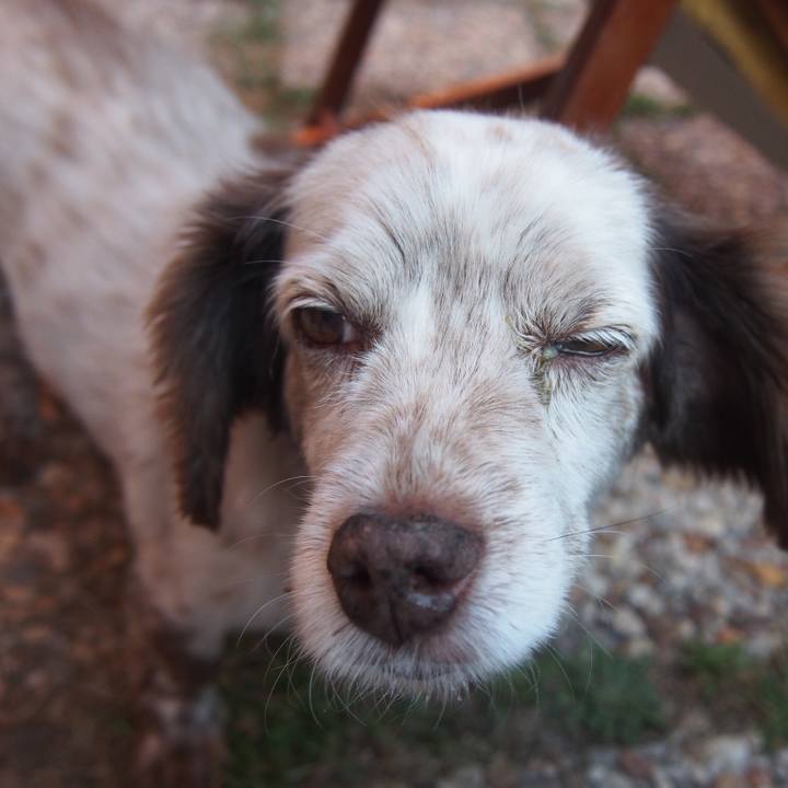 8c689dfe ba2d 4308 80e7 221186f215db