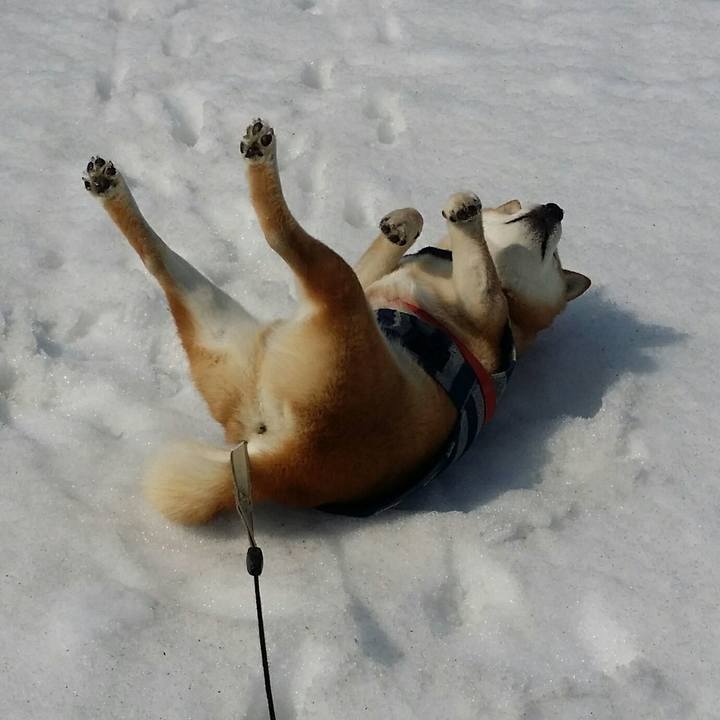 8c68bbe0 eae6 4e86 97ef 9868c32c4327