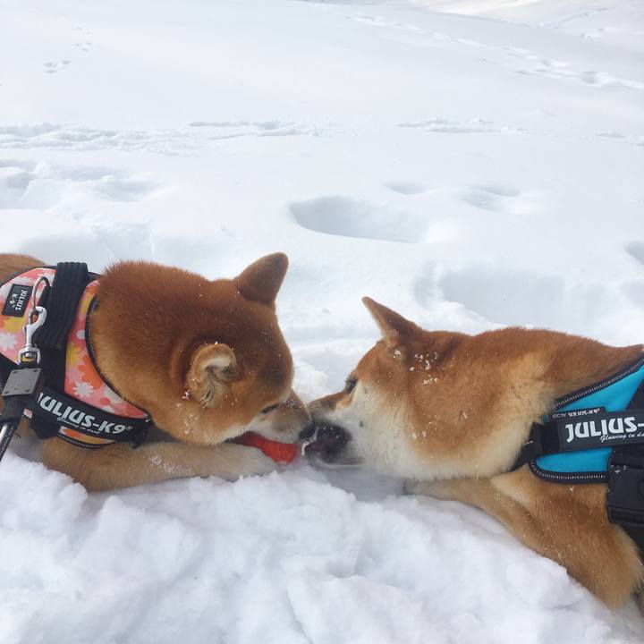 8c68dd33 a18e 4b39 babc eb271fcd90f8