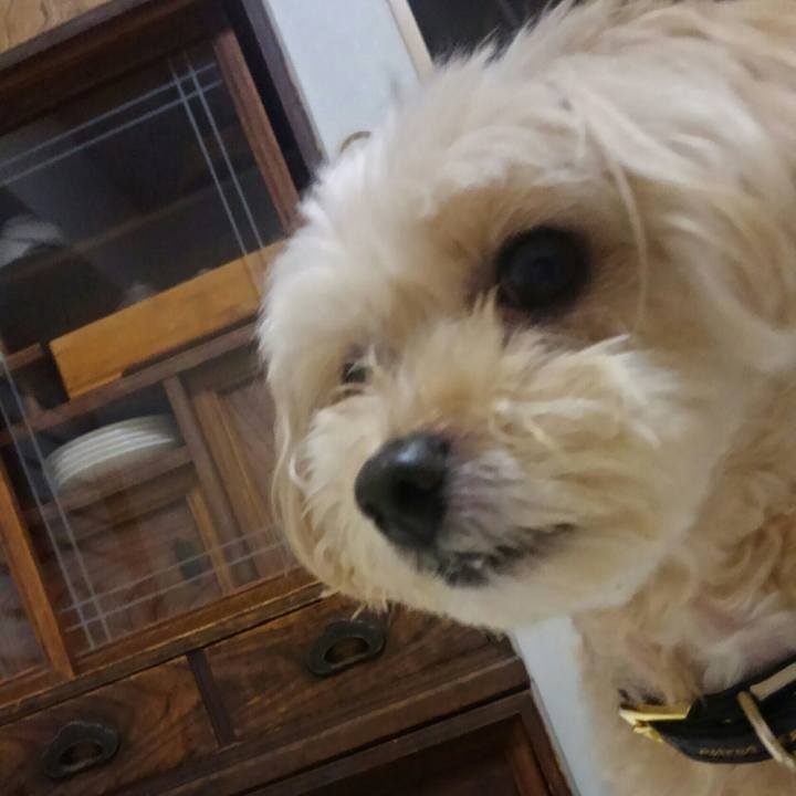 8c692d48 4d0c 445d b128 f528b8e7ad18