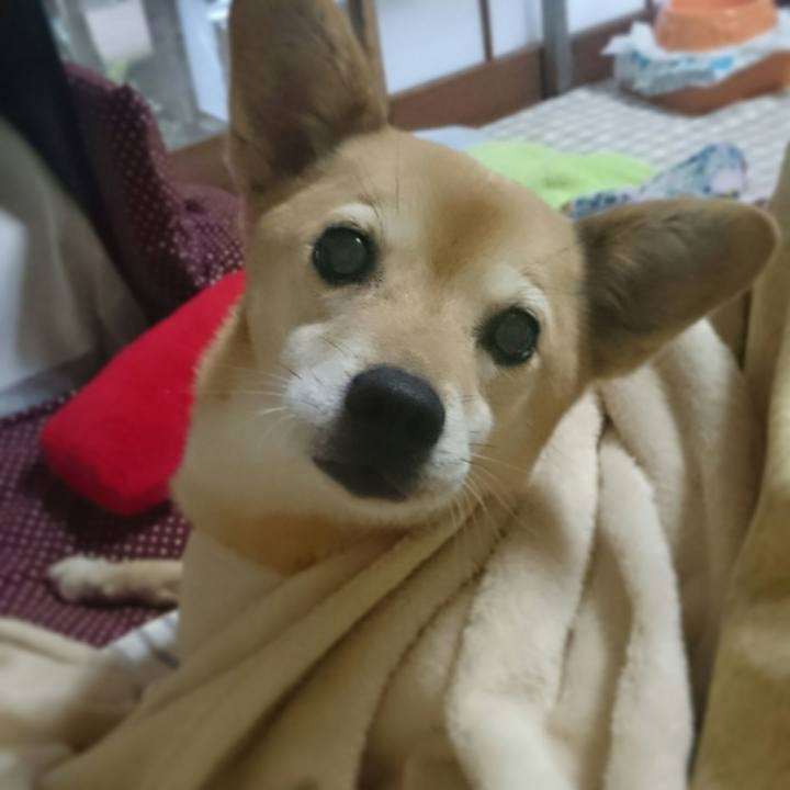 8c69aaf3 ae02 4a45 bf35 18b4d39ac5a1