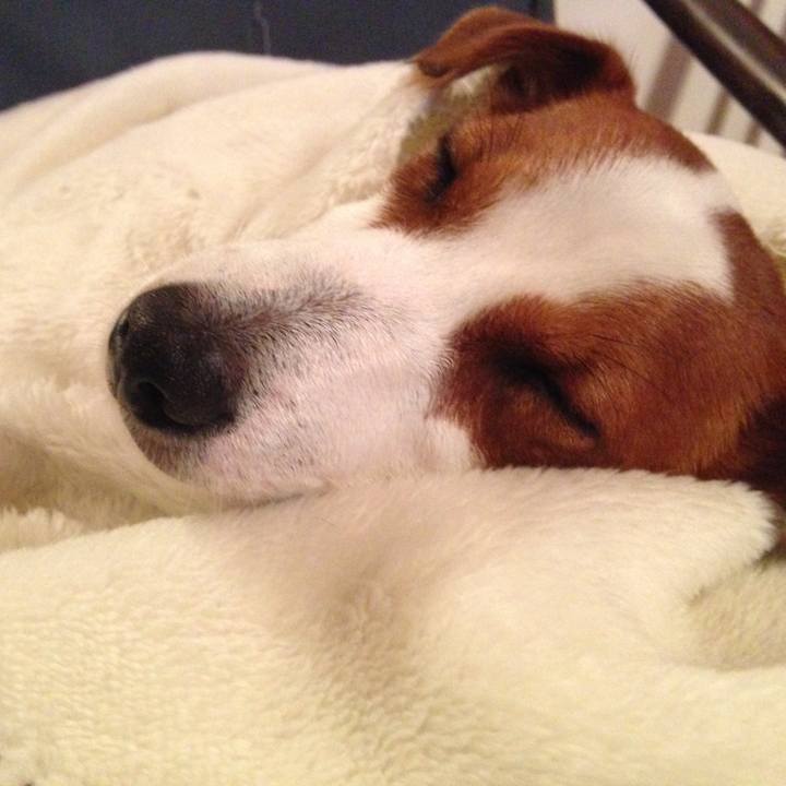 8c69c05e 4151 4342 a366 ee801a73fe5f