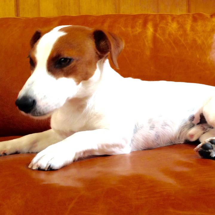 8c6a2674 f0c3 416e 86ac a7ea95d5e04d