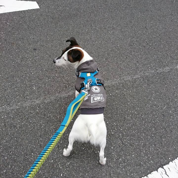 8c6a428e 4ddc 4da4 835a a98369a348e1