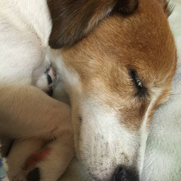 8c6a6948 1d60 4ca9 af1a 2d8e20ccddc9