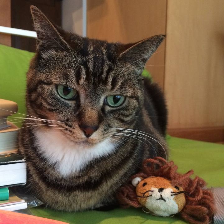 8c6adb0f f74e 497f a25d 0c184408dfbf