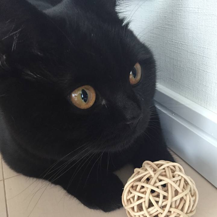 8c6ae4c6 2760 4578 9ebd 8e56ea622b46