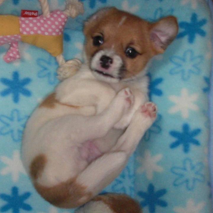 8c6af834 bba2 4f60 acb4 ea08390b5db8