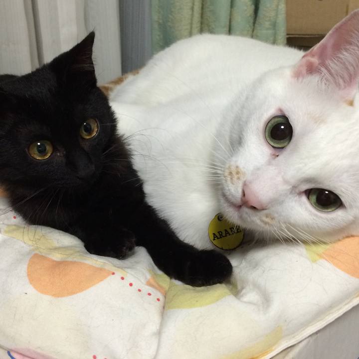 8c6b79e0 25f2 4713 a7dd 2d191a7a5f7d