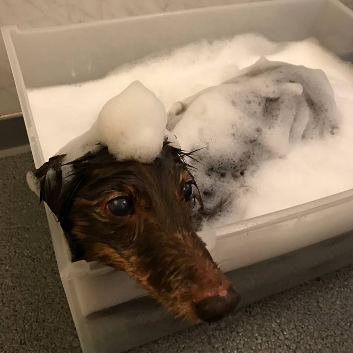 8c6bc433 a3f5 402c a16e 368914f368bc