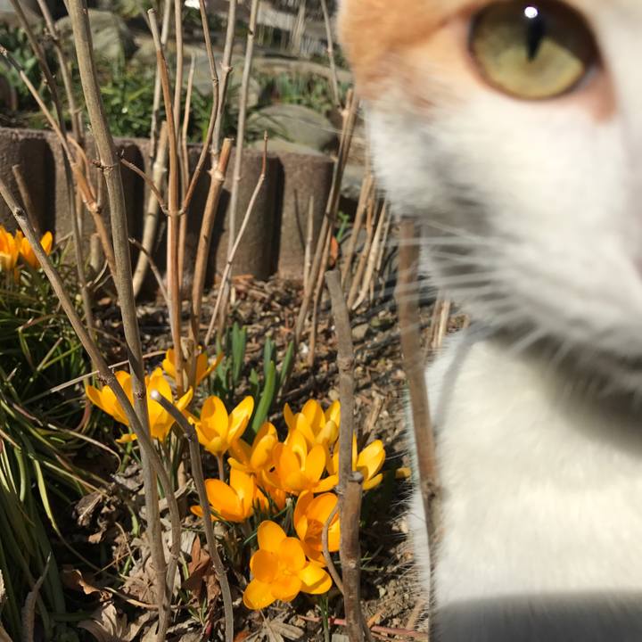 8c6bca07 21bb 443b b6f7 bf8880c06fdf