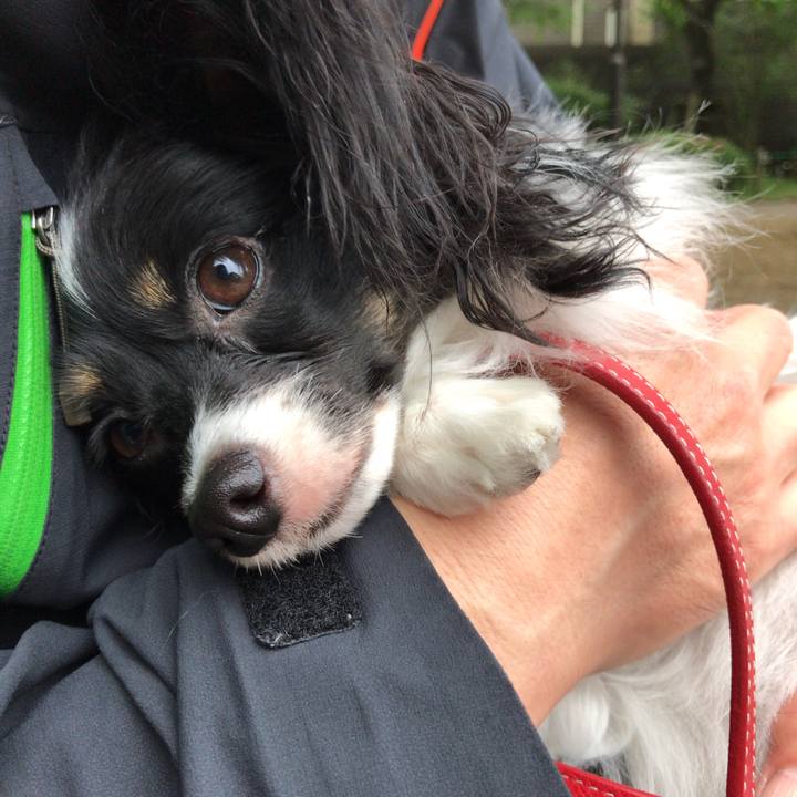 8c6ce440 4cf0 41ee bae1 0324776df13b