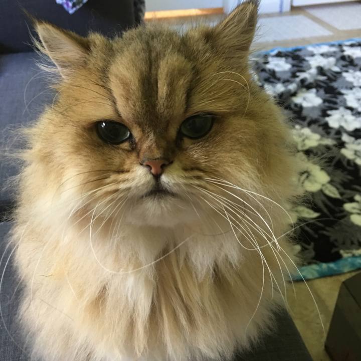 8c6d21e7 a96e 4326 b458 938f255e5c41