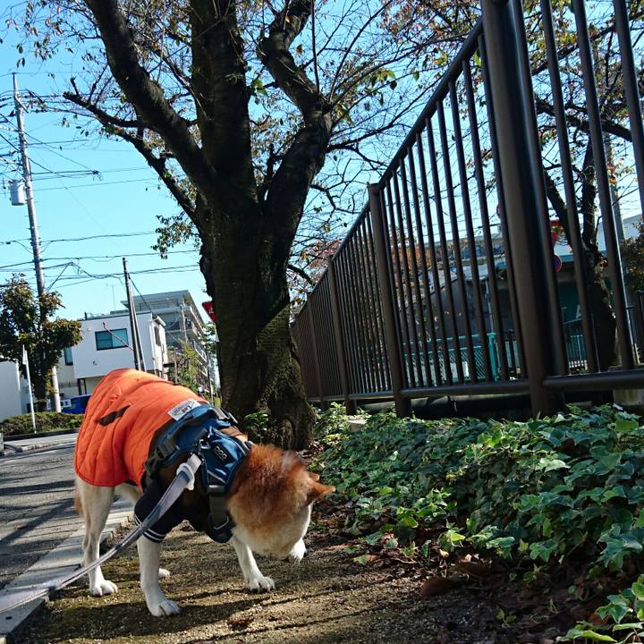 8c6d479d ae49 43a4 9bea c784a2b8b6b3