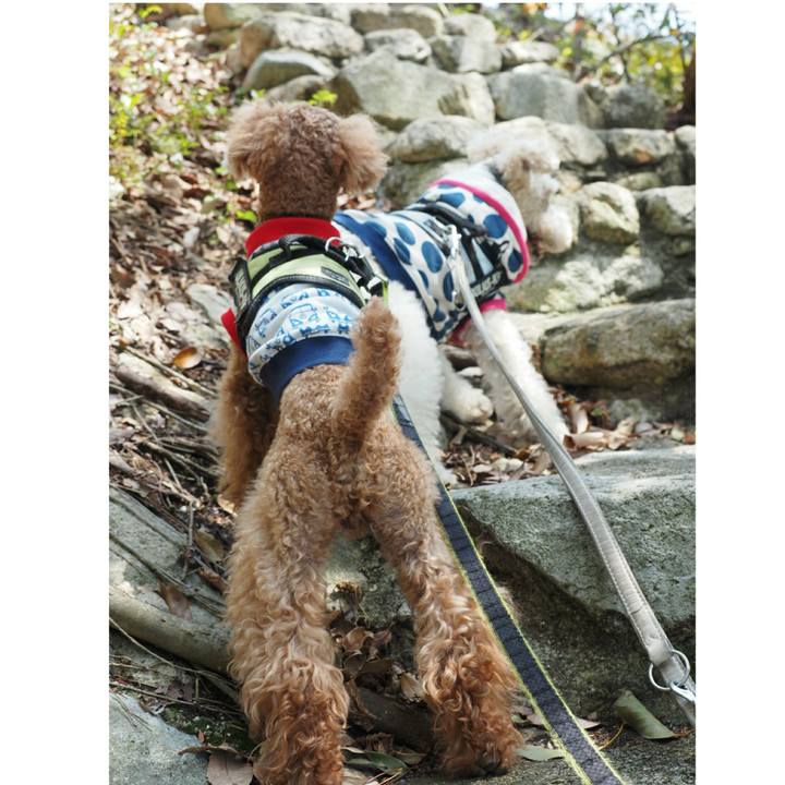 8c6d7207 6313 407a a0e2 6627dc9d7734