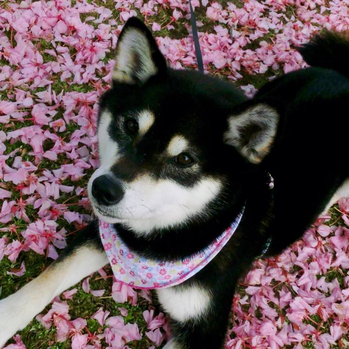 8c6dc366 d082 4f59 bf2f 89bb8accfcc7