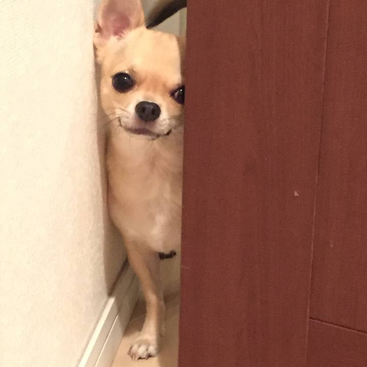 8c6dc6d1 c96d 4f97 a115 1732d121ec86