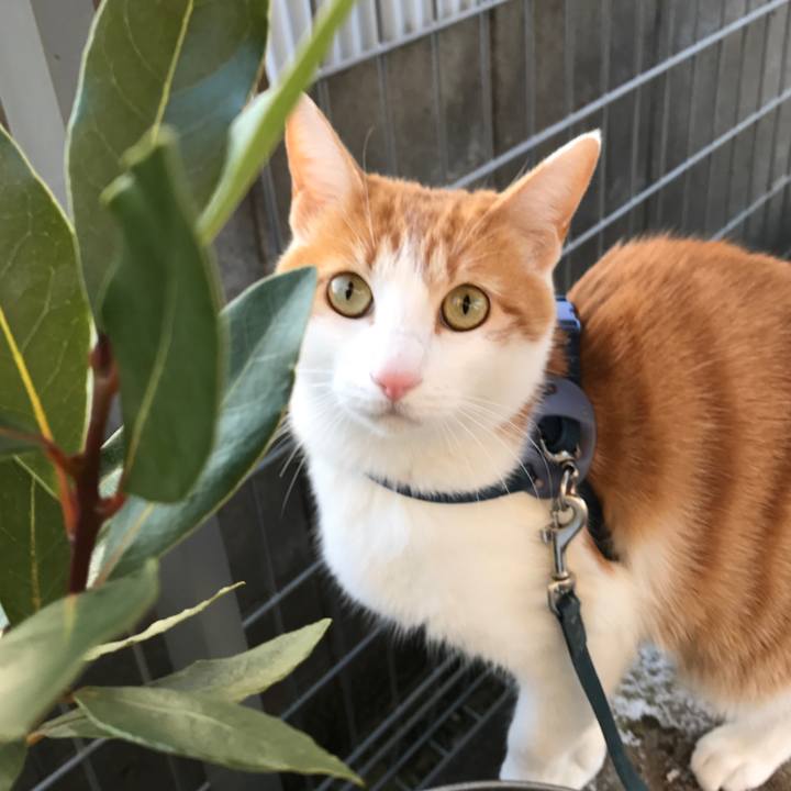 8c6e477d 248f 42a1 b388 407206dead9b