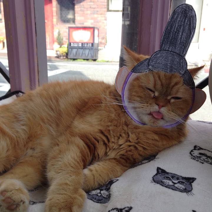 8c6e4d52 3d03 4a29 a855 2eca8845fa15