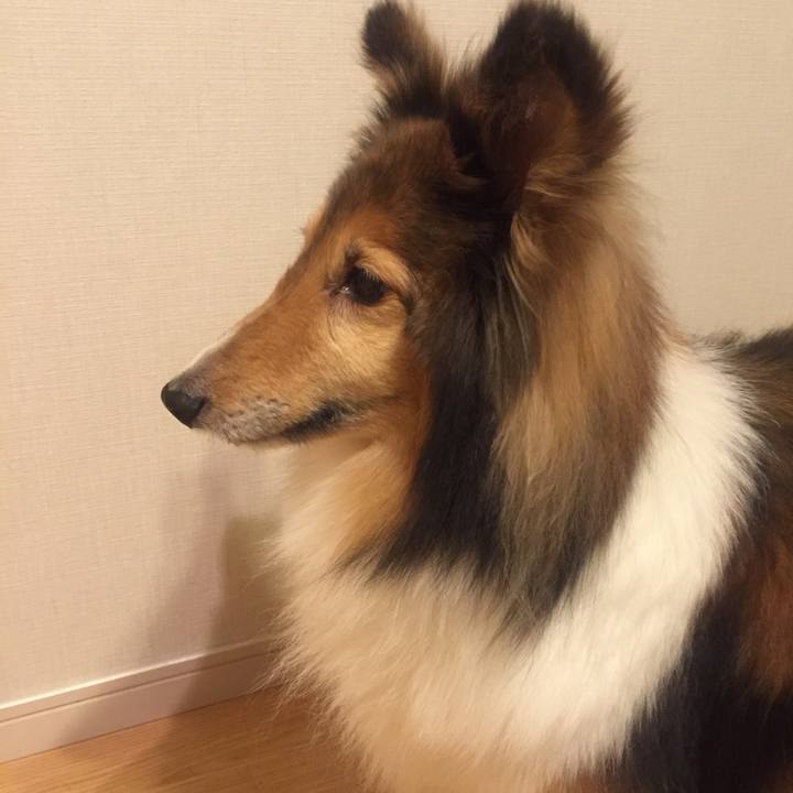 8c6f0dba 0ae2 4d9f b007 48d3642bf70a