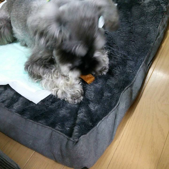 8c6f6704 1caa 4cb7 843f 798687620aa0
