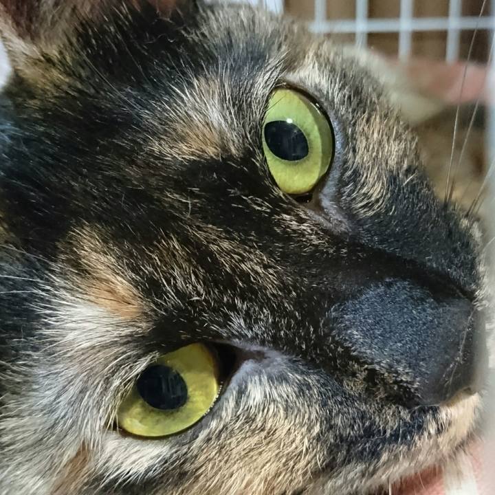 8c703374 6b20 4205 9154 577df1ebbe83