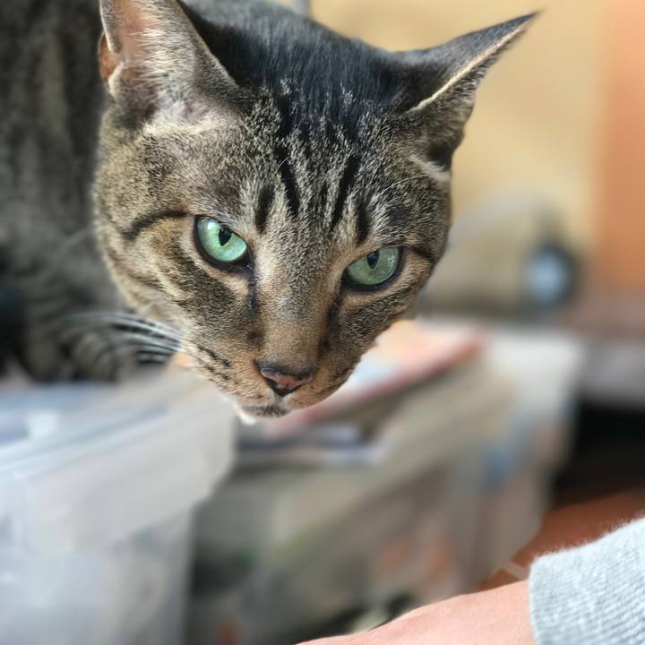 8c7193ea 9b07 4284 a1f2 4aeab6b8b0ba