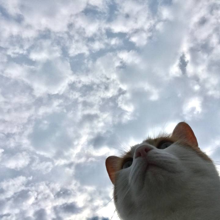 8c7218fb b3c9 4d37 87b8 6c41f2d6cb2c