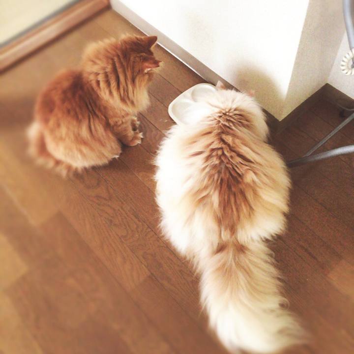 8c72831d 3d50 45d8 b33d b99f0debd5e0