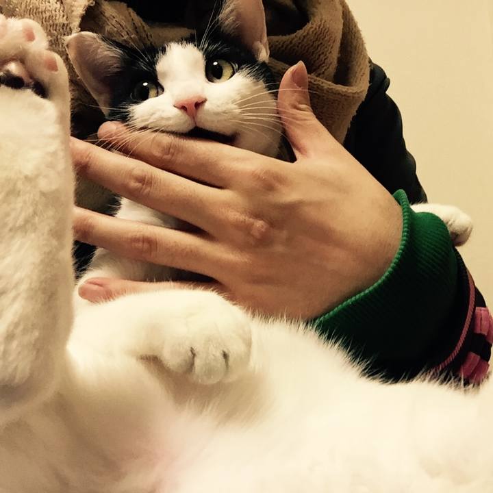 8c73503e f185 4c44 8229 30a34d7c01ef