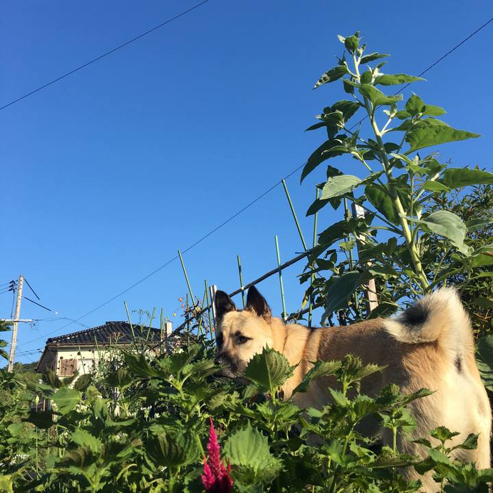 8c73b913 b926 45e6 8e8e e3c26d5c1278