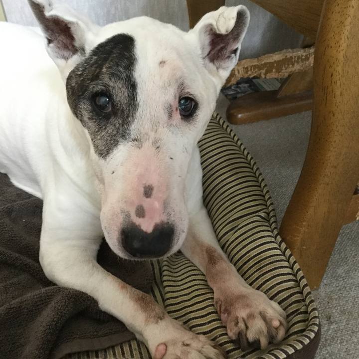 8c73c9da cd9d 4cca 8bcb 48b6a4c8db0a