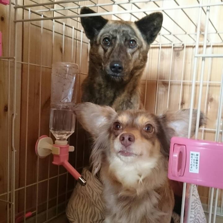 8c73ea9d 028d 4d38 8c72 016d154f8603