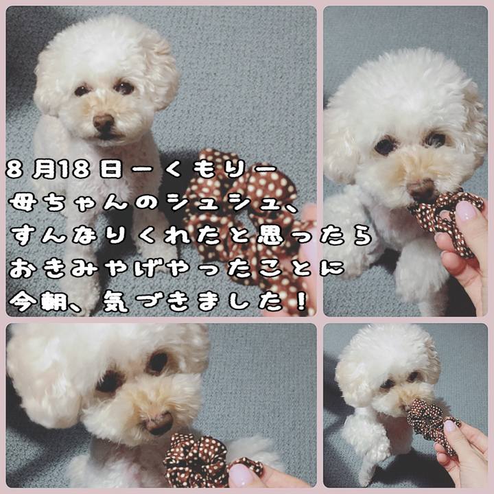 8c749357 6cf2 4e8a 8800 32c66ac5a38a