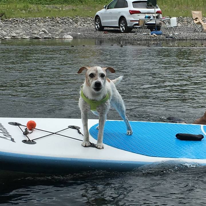 8c74c26f 1fd5 4f85 84f0 5631672bb6b8