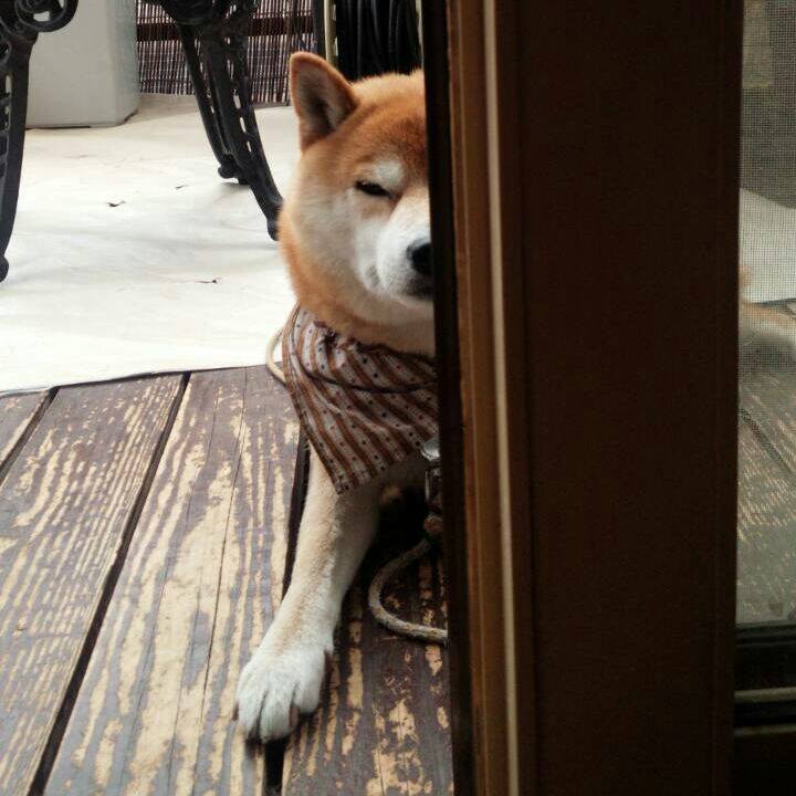 8c752229 6d70 4253 a303 9441babe8c91